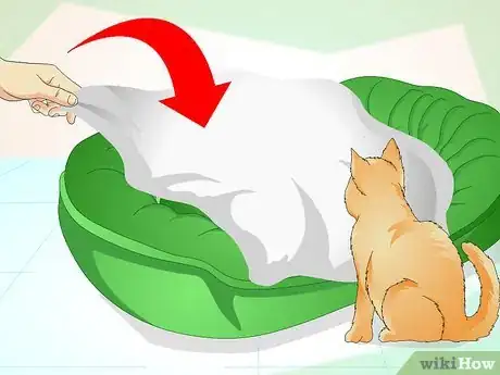 Image titled Comfort a Dying Cat Step 2