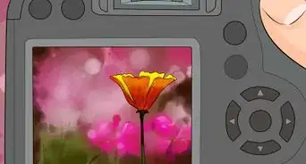 Shoot with a 50mm Lens