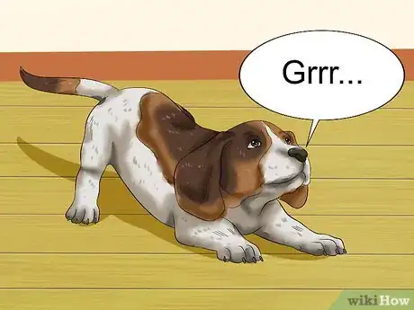 Image titled Love Your Puppy Step 13