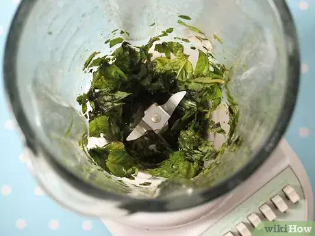 Image titled Freeze Basil Step 4