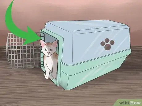 Image titled Take Care of Pets During a Hurricane Step 8