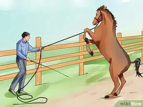 Image titled Be Comfortable Around a Bad‐Tempered Horse Step 19