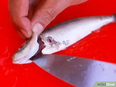 Image titled Cook Kerala Style Fried Sardines (Chala Varutathu) Step 2