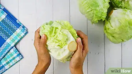 Image titled Core Lettuce Step 1