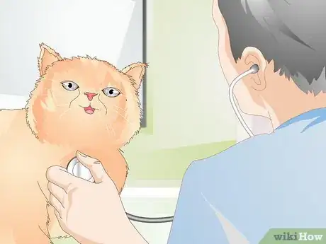 Image titled Stop a Cat from Licking Stuffed Animals and Blankets Step 11