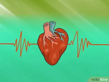 Image titled Take a Horse's Vital Signs Step 6