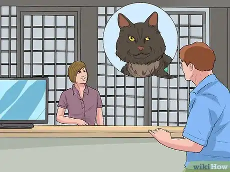 Image titled Adopt a Special Needs Cat Step 1