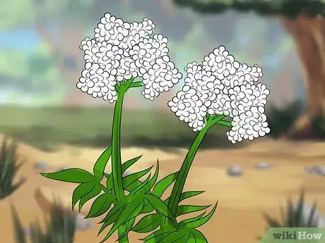 Image titled Diagnose and Treat Crohn's Disease Step 9