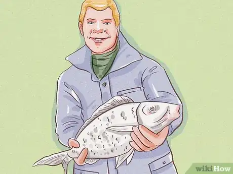 Image titled Visit Milford Sound Step 19