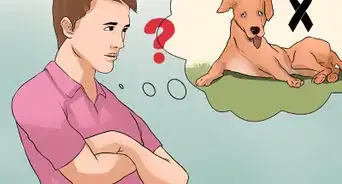 Diagnose Canine Cancer