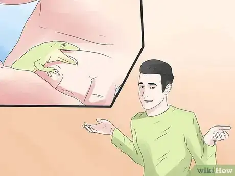 Image titled Care for Green Anole Lizards Step 9