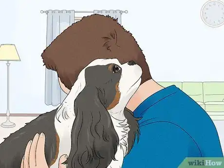 Image titled Identify a Cavalier King Charles Spaniel Step 12