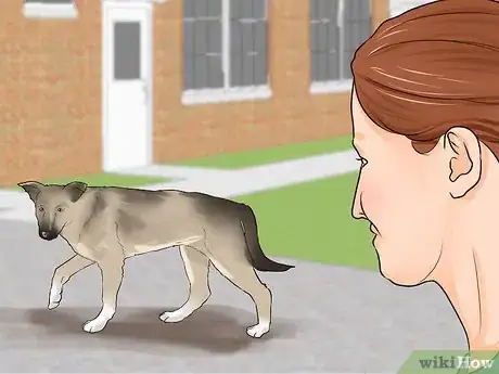 Image titled Find Dogs Needing to Be Rehomed Step 7