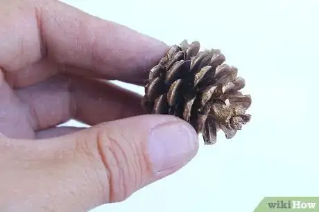 Image titled Make a Pinecone Wreath Step 7