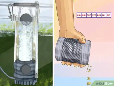 Image titled Start a Saltwater Aquarium Step 37