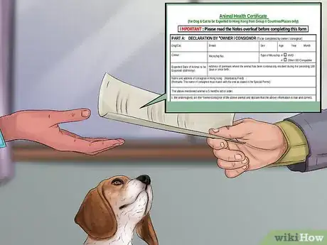 Image titled Prepare a Dog for Air Travel Step 5