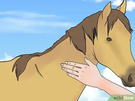 Image titled Load a Frightened Horse Into a Horse Trailer Step 11