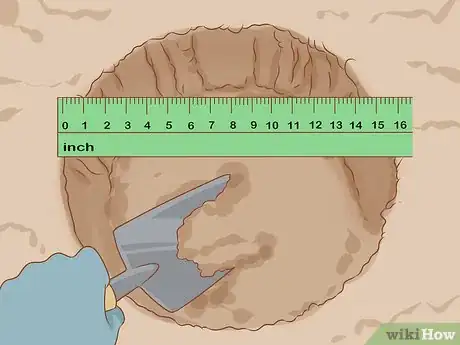 Image titled Grow Long Stem Roses at Home Step 9