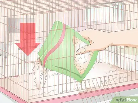 Image titled Care for Disabled Rabbits Step 6