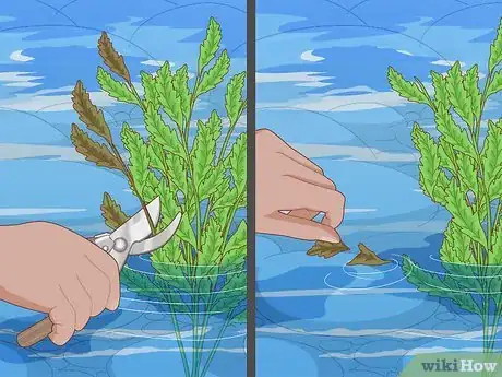 Image titled Maintain a Garden Step 17