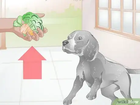 Image titled Choose Healthy Treats for a Senior Dog Step 1