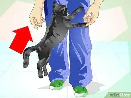 Image titled Train an Old Stubborn Cat to Do Tricks Step 7