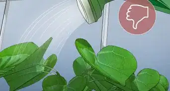 Keep Your Plant Nursery Clean