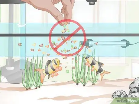 Image titled Do a Water Change in a Freshwater Aquarium Step 18
