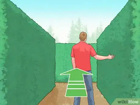 Image titled Find Your Way Through a Maze Step 2