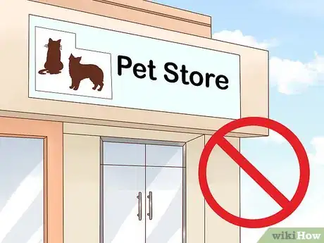 Image titled Choose a Border Collie Step 12