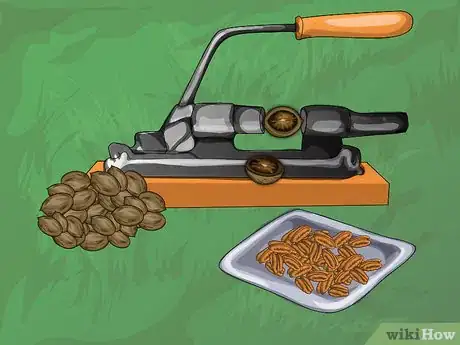 Image titled Harvest Pecans Step 11