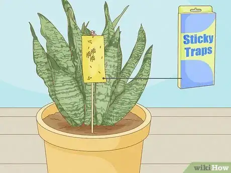 Image titled Get Rid of Thrips Indoors Step 7