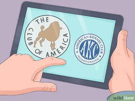 Image titled Select a Toy Poodle Step 7