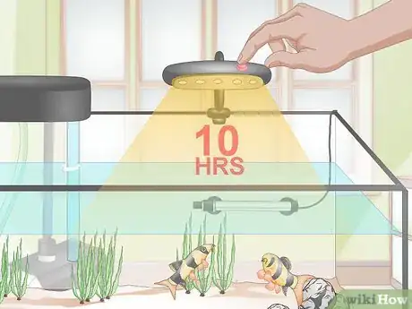 Image titled Do a Water Change in a Freshwater Aquarium Step 17