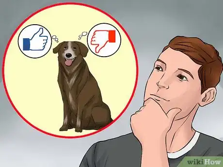 Image titled Become Close With Your Dog Step 4