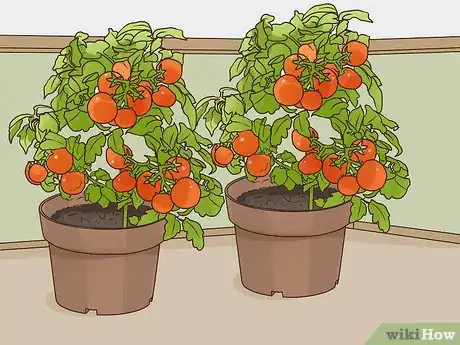 Image titled Be Self Sufficient in a City Step 1