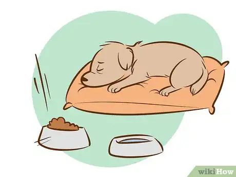 Image titled Recognize a Dying Dog Step 11