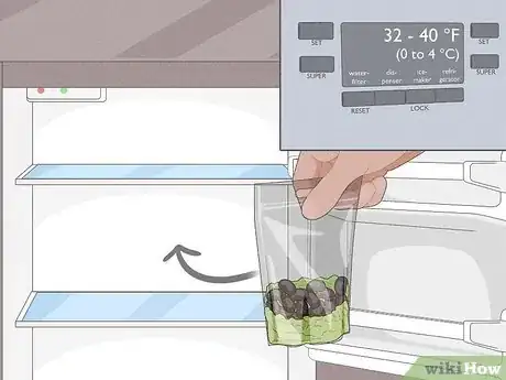 Image titled Grow Pawpaws Step 2