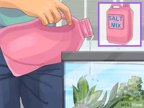 Image titled Start a Saltwater Aquarium Step 17