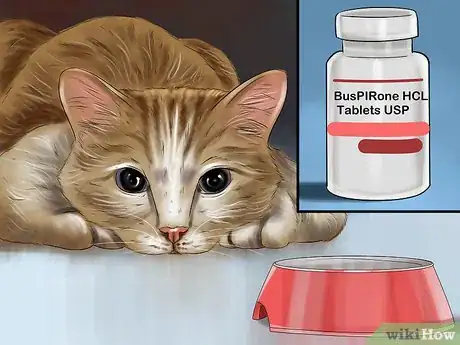 Image titled Give Serotonin (5 Ht) Agonists to a Cat Step 14