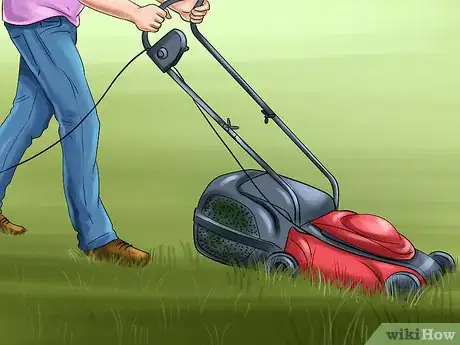 Image titled Keep Ticks from Your Dogs Step 5