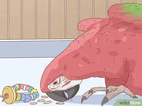 Image titled Keep a Macaw Occupied Step 4