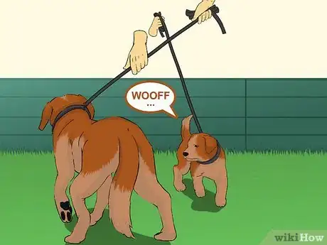 Image titled Add a Puppy to the Family Whilst Your Dog Is Pregnant Step 7