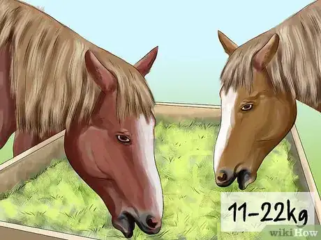 Image titled Care for a Draft Horse Step 3