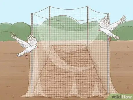 Image titled Protect Your Garden from Birds Step 4