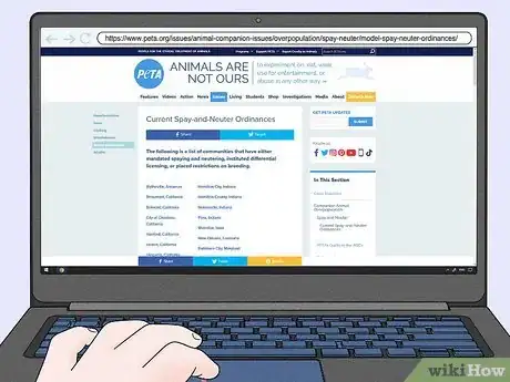 Image titled Help Homeless Animals Step 19