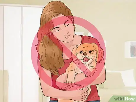 Image titled Understand Small Dog Syndrome Step 10
