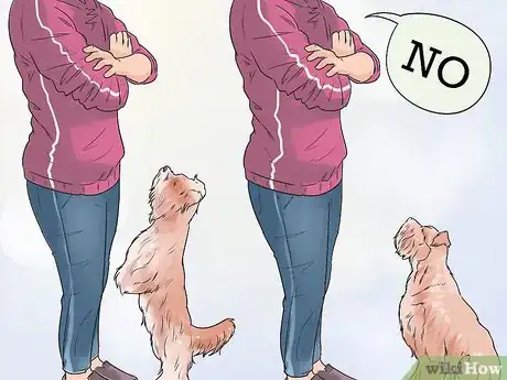 Image titled Get Your Dog to Welcome Your Baby Step 2