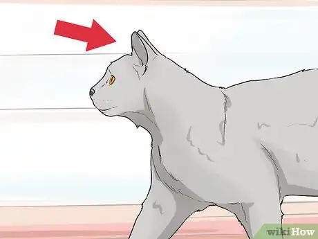 Image titled Figure Out Your Cat's Mood Step 2