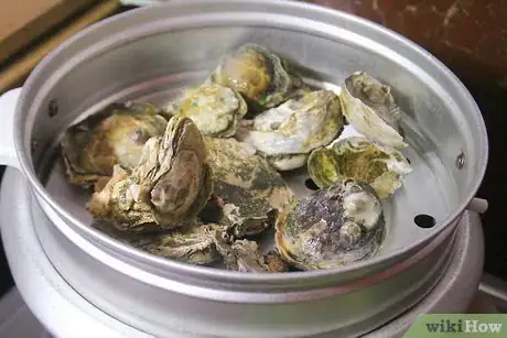 Image titled Cook Oysters Step 3